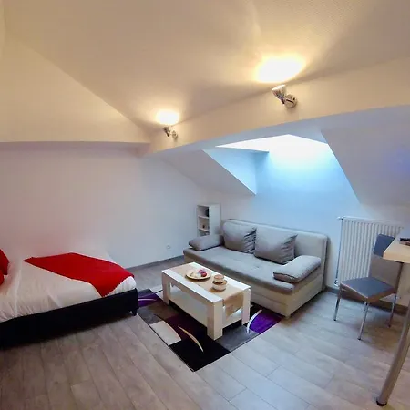 La Mesange Apartment Strasbourg